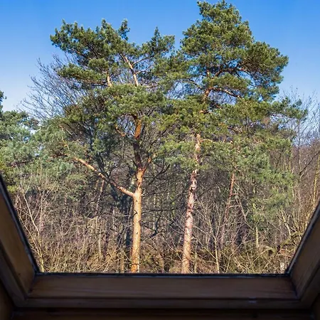 Deluxe Turystyczna By Renters