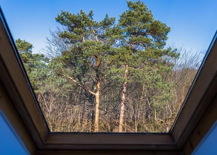 Deluxe Turystyczna By Renters